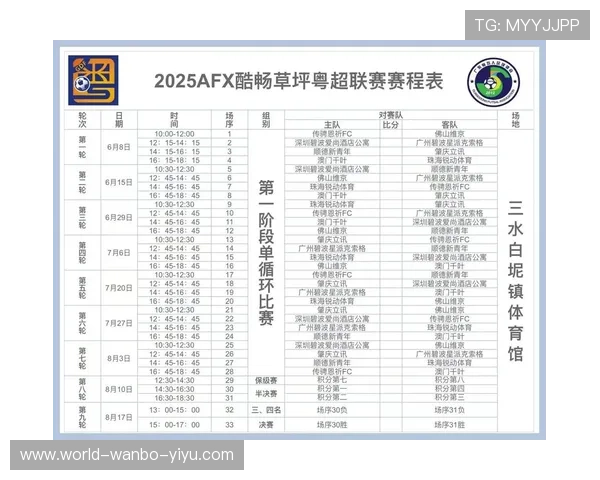 广东省足球赛事全景解析及青少年联赛发展趋势研究