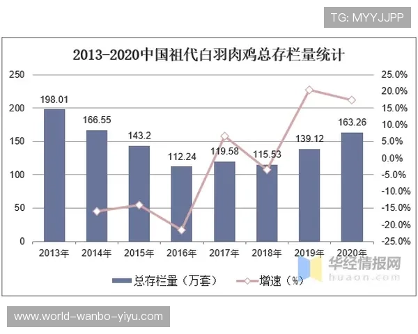 博尔顿俱乐部最新身价揭秘及未来发展潜力分析